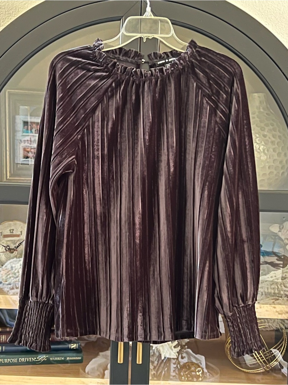 NWOT Velvet Black Pleated Long-Sleeve Top
